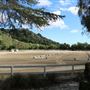 Willow Creek Ranch