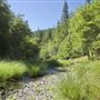 Rancheria Creek Bridge