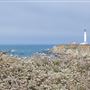 Point Arena Light Station (w/ Light Keeper's Houses)