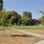 Willits City Park