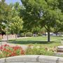 Alex Thomas Plaza