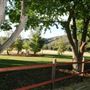 Freedom Ranch - Shadowlands Foundation - Wolves in California