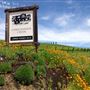 Christopher Creek Winery