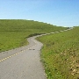 Cougar Mountain Drive