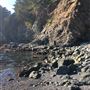 Smidgemore Property - Private Beach Cove & Bluffs with Vacant Cottages
