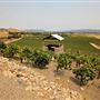 Viansa Sonoma Winery