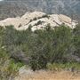 Devil's Punchbowl