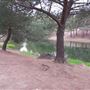 Frank G. Bonelli Regional Park / Puddingstone Reservoir