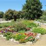 South Coast Botanic Garden
