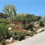 South Coast Botanic Garden