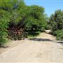 South Coast Botanic Garden