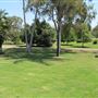 South Coast Botanic Garden