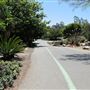 South Coast Botanic Garden