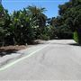 South Coast Botanic Garden