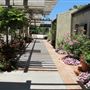 South Coast Botanic Garden