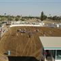 Kern County Fair - 15th DAA