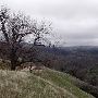 Edmonston Pump Plant Road / Pipeline thru Tejon Ranch - Department of Water Resources (DWR)