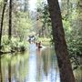 Camp Tawonga