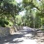 Oak Canyon Ranch