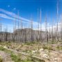 Lassen Volcanic National Park