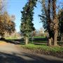Samuel Ayer Park