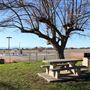 Breezy's Wings and Wheels Cafe