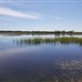 Payne's Creek Wetlands