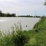 Lake Minden