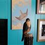 West Coast Falconry