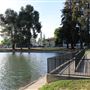 Ellis Lake