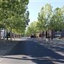 Yuba City