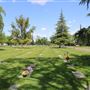 Sutter Cemetery