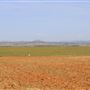 Wheatland