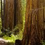 Admiral William Standley State Recreation Area (SRA)