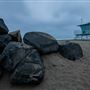 Carlsbad State Beach (SB)