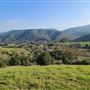 Santa Cruz Mountains/Santa Clara Valley Vineyard/Victorian Location - Gilroy, CA