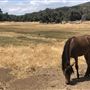 Garbani Ranch