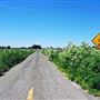 Various Rural Farms And Ranches