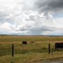 Various Rural Farms And Ranches