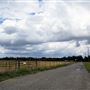 Various Rural Farms And Ranches