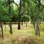 Various Rural Farms And Ranches