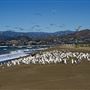 McGrath State Beach (SB)