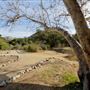 Placerita Canyon State Park (SP) / Placerita Canyon Natural Area / Placerita Nature Center