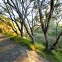 Twin Lakes State Beach (SB) / includes Blacks Beach