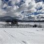 Red Skelton ranch