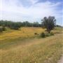 Oroville Wildlife Area - California Department of Fish & Wildlife (CDFW)