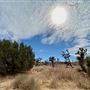 Carr Canyon Ranch