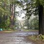 Camp Russian River