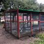 Red Thorne Ranch / The Barn Loft / Mini Petting Zoo