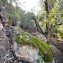 Canyon Ranch